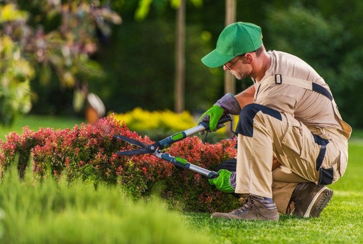 Jardinero podando un seto